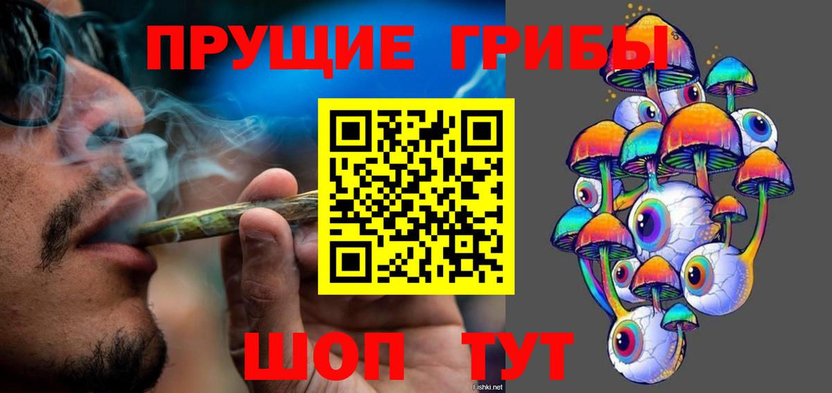 Псилоцибиновые грибы Psilocybine cubensis Рославль